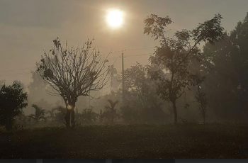 পঞ্চগড়ে ফের তাপমাত্রার পারদ নামল ৯ ডিগ্রির ঘরে