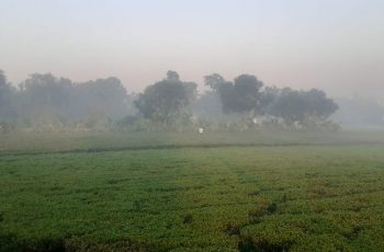 রোদের প্রভাবে দিনে বাড়ে তাপমাত্রা, রাতে তীব্র শীত