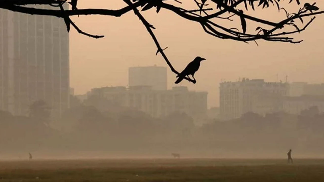 ঢাকায় শীত আরও বাড়বে না কমবে? যা বলছে আবহাওয়া অধিদপ্তর