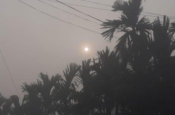 পঞ্চগড়ে দেখা মিলল সূর্যের, বইছে মৃদু শৈত্যপ্রবাহ