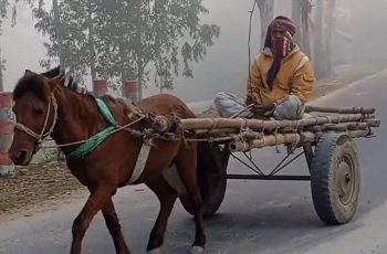 তীব্র শীতে কাঁপছে চুয়াডাঙ্গা, তাপমাত্রা ১০.৪ ডিগ্রি