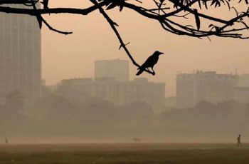 শীত বাড়বে কবে, জানাল আবহাওয়া অধিদপ্তর