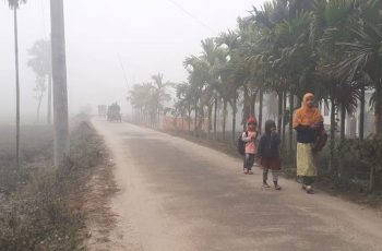 পঞ্চগড়ে বৃষ্টির মতো ঝরছে শিশির